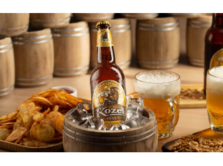 Пиво Velkopopoviscky Kozel светлое 0.5L